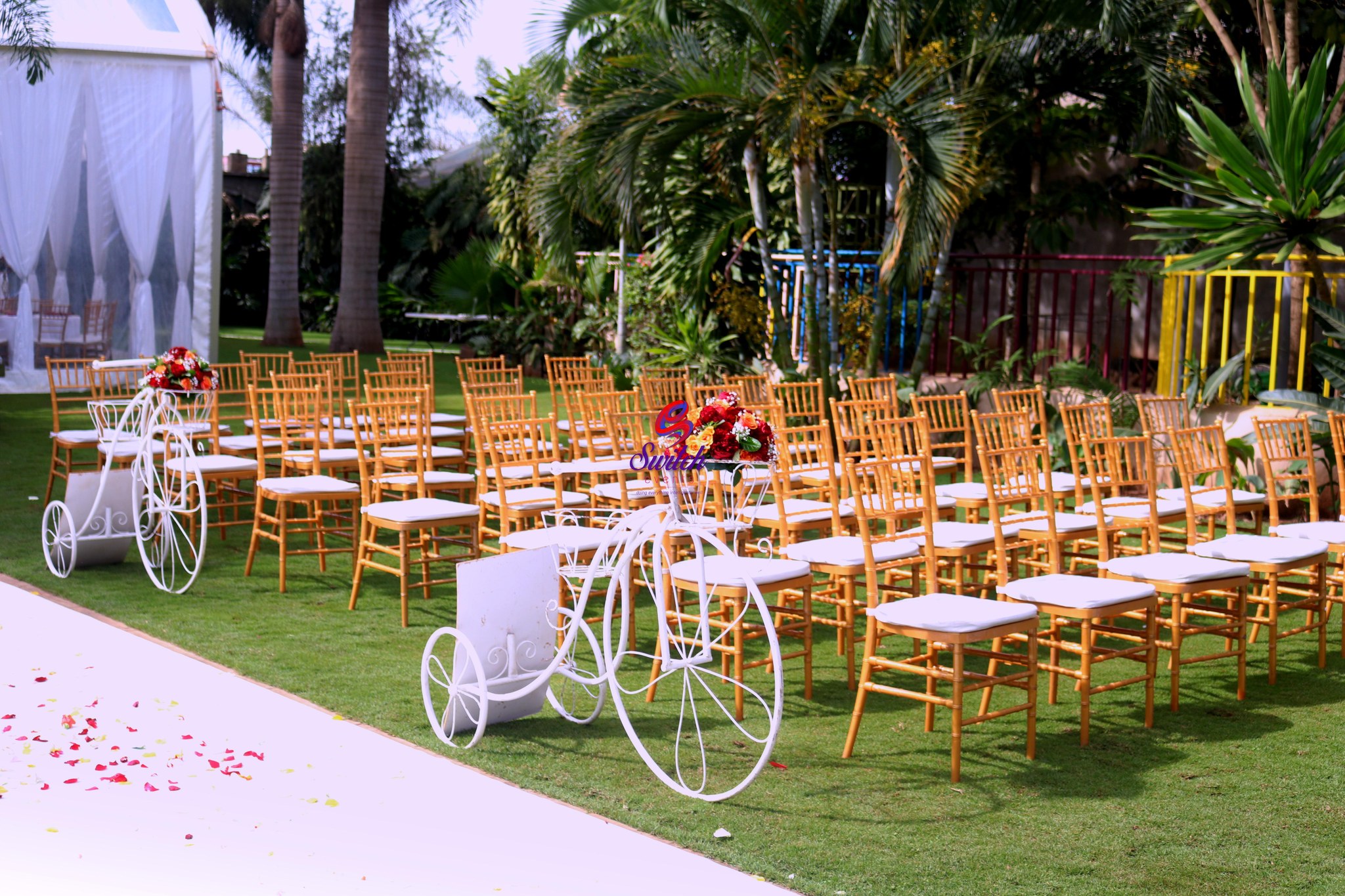 Wedding Celebration